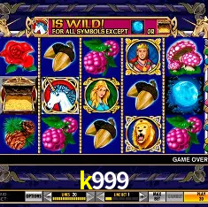 k999 Rio de Janeiro - Professional Dealers